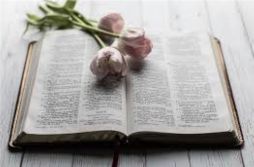 an open book
